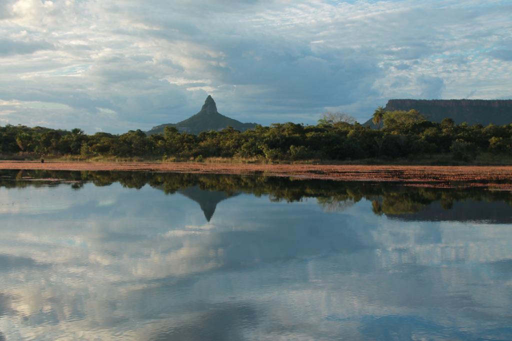 Hotel Pousada Sertao Veredas Sao Domingos de Goias Zewnętrze zdjęcie